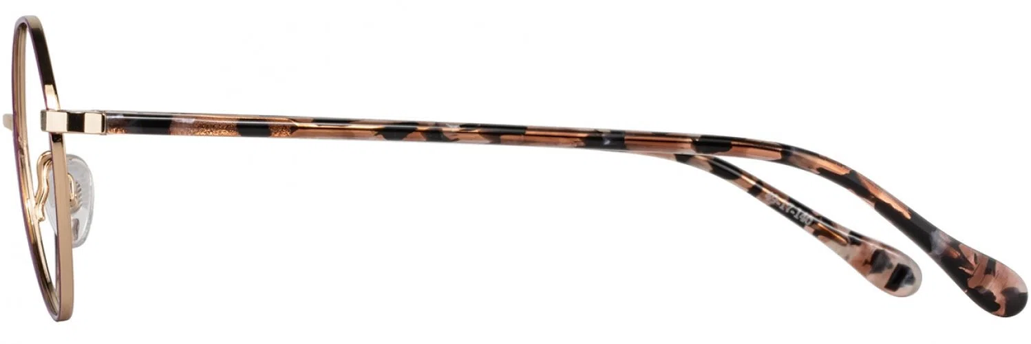 Alan J AJ524 Eyeglasses - view 8